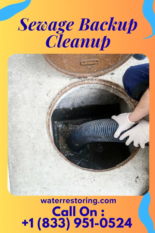 Sewage Backup Cleanup in Hillcrest Heights, MD